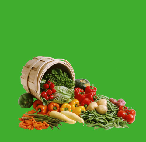 Промо-сайт сервиса по доставке вегетарианского питания ВегЛайф